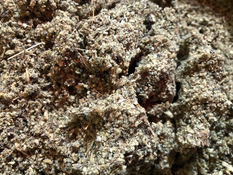 Mullein Leaf – 8 ounces