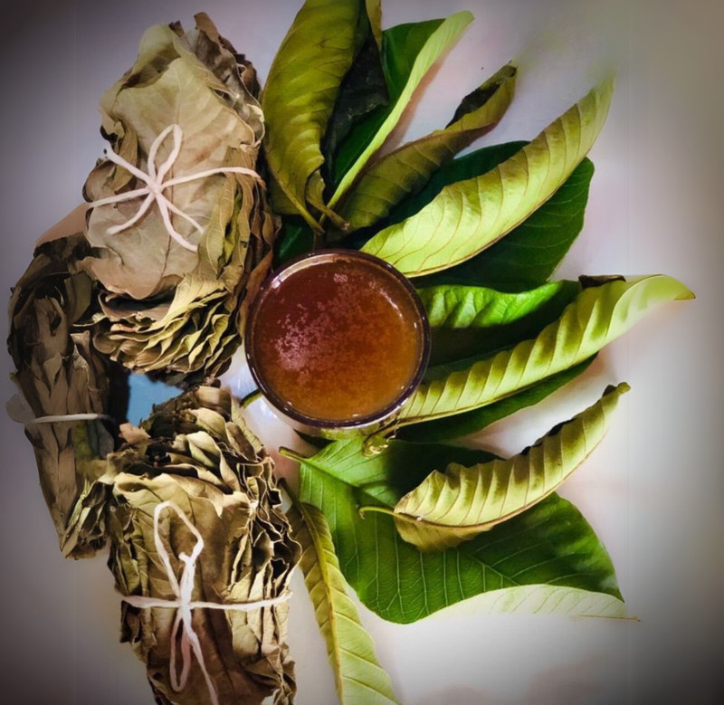 Organic Guava Leaf Tea from Sri Lanka | Pure Dried Leaves (Non-GMO) 50g to 2kg gallery