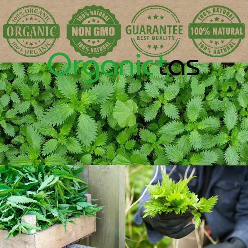 Organic NETTLE LEAF Herbal Tea Dried Cut Urtica Dioica 100g Premium Quality BIO gallery
