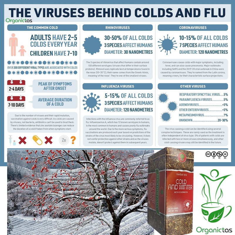 Winter Tea for Flu, Cold, Cough & Immune System Support, 6 Herbs Blend, 20 Teaba gallery