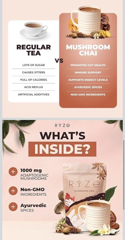 RYZE Mushroom Chai Tea & Infusion Powder Adaptogenic Non-GMO Ayurvedic Spices gallery