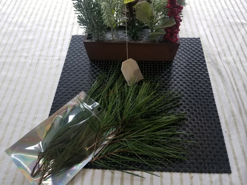Eastern Pine Tree Tea 🍵 Immunity Boosting /Actively Fights against Infections/