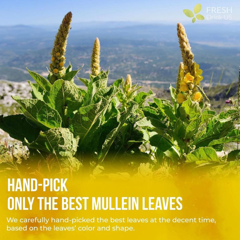 40 Biodegradable Mullein Leaf Tea Bags - Natural Lung Detox, Caffeine Free gallery