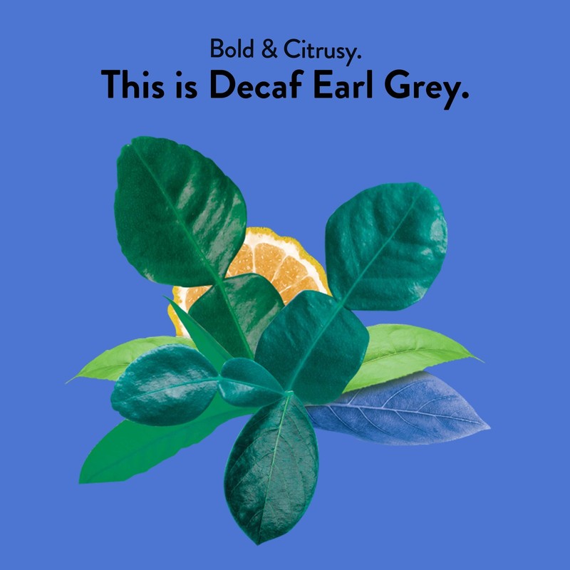 Choice Organics - Organic Decaffeinated Earl Grey Tea 6 Pack - With Bergamot - gallery