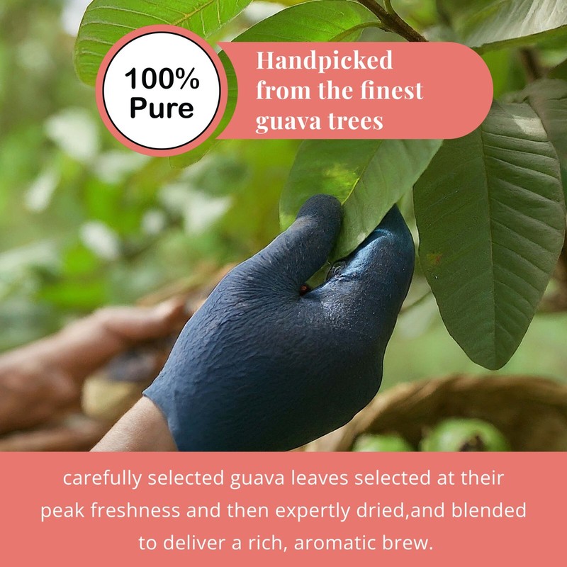 150 Organic Guava Leaf Tea Bags, Pure Guava Leaves Tea, Te de Hojas De Guayaba gallery